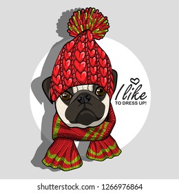 Vector dog with red knitted hat and scarf. Hand drawn illustration of dressed pug.