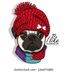 Vector dog with red knitted hat and scarf. Hand drawn illustration of dressed pug.