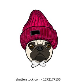 Vector dog with red knitted hat and bow. Hand drawn illustration of dressed pug.