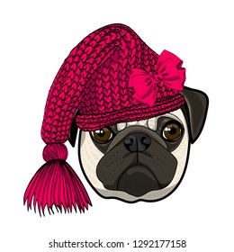 Vector dog with red knitted hat and red bow. Hand drawn illustration of dressed pug.