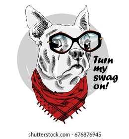 Vector dog with red neckerchief and glasses. Hand drawn illustration of dressed dog