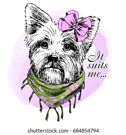 Vector dog with scarf and bow. Hand drawn illustration of dressed dog