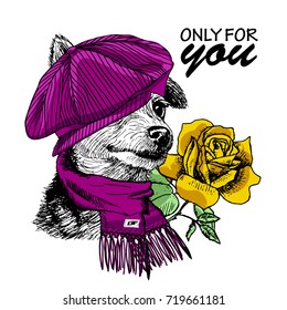 Vector dog with scarf, cap and rose. Hand drawn illustration of dressed dog with yellow rose.