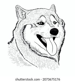 Estilo de dibujo manual siberiano de perro vector