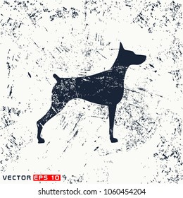 Vector dog silhouette on grubge background