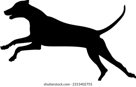 vector dog silhouette photo, silhouette dog