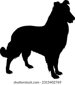 vector dog silhouette photo, silhouette dog