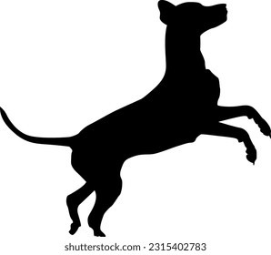 vector dog silhouette photo, silhouette dog