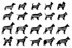 Vector Dog Silhouettes Collection