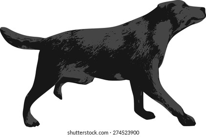 Vector Dog Silhouettes isolated on background