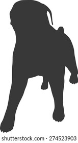 Vector Dog Silhouettes isolated on background