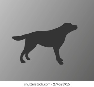 Vector Dog Silhouettes isolated on background