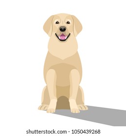 Vector dog sitting, isolated on white, labrador retriever, dog golden color. Flat design. EPS10