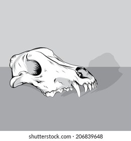 Vector dog skull