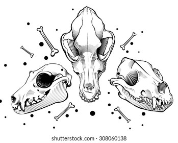 Vector dog skull