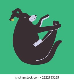 vector dog sleeping curled up collection