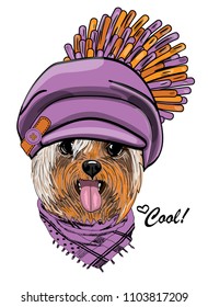 Vector dog with violet beret and scarf. Hand drawn illustration of dressed yorkshire.