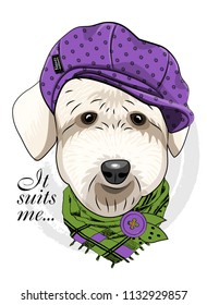 Vector dog with violet cap and green scarf. Hand drawn illustration of dressed dog.