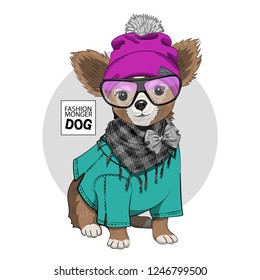 Vector dog with violet hat, checkered scarf, glasses and green blouse. Hand drawn illustration of dressed terrier.