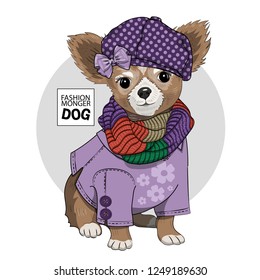 Vector dog with violet hat, knitted scarf and dress. Hand drawn illustration of dressed terrier.