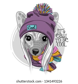 Vector dog with violet hat and knitted scarf. Hand drawn illustration of dressed Chinese Crested Dog. Vector illustration.