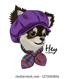 Vector dog with violet hat and scarf. Hand drawn illustration of dressed chihuahua.
