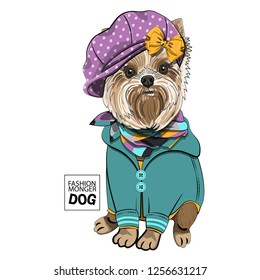 Vector dog with violet hat, yellow bow, checkered scarf and knitted green blouse. Hand drawn illustration of dressed dog.
