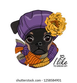 Vector dog with violet hat, yellow flower  and knitted scarf. Hand drawn illustration of dressed brabancon.