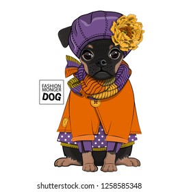 Vector dog with violet hat, yellow flower, knitted scarf and dress. Hand drawn illustration of dressed brabancon.