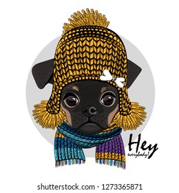 Vector dog with violet hat, yellow flower  and knitted scarf. Hand drawn illustration of dressed brabancon.
