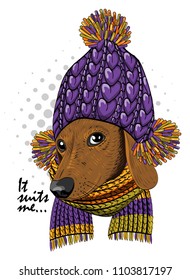 Vector dog with violet knitted hat and scarf. Hand drawn illustration of dressed dachshund.