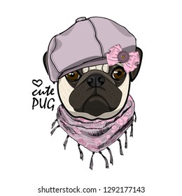 Vector dog with violet knitted hat and scarf. Hand drawn illustration of dressed pug.