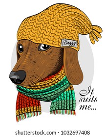 Vector dog with yellow knitted hat and scarf. Hand drawn illustration of dressed dachshund.