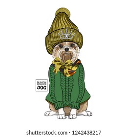 Vector dog with yellow knitted hat, bow and green pullover. Hand drawn illustration of dressed poodle.