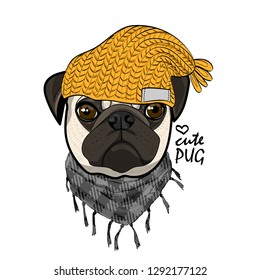 Vector dog with yellow knitted hat and scarf. Hand drawn illustration of dressed pug.