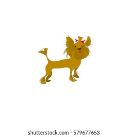 Vector dog Yorkshire terrier icon. Cute Dog.