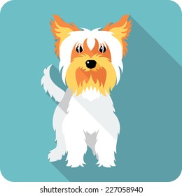 Vector dog Yorkshire terrier de pie icono diseño plano 