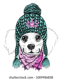 Vector doggy with knitted hat and scarf. Hand drawn illustration of dressed dog.