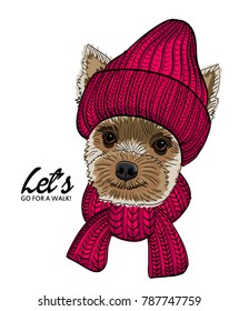 Vector doggy with red knitted hat and scarf. Hand drawn illustration of dressed yorkshire terrier.
