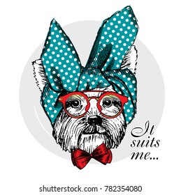 Vector doggy with turban, glasses and bow. Hand drawn illustration of dressed dog.