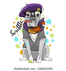 Vector dog-painter with pencil, violet hat, knitted scarf and tee-shirt. Hand drawn illustration of dressed bulldog.