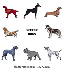 Vector dogs