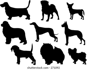 vector dogs collection