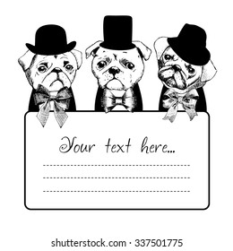 Vector dogs in a hat and bow. Three dogs in tuxedos and hats. Space for text. White and black. Pug in black.