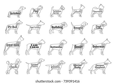 Vector dogs icons collection isolated on white