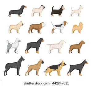 Dogs Breed Set Isolated On White Stock Vector (Royalty Free) 467137910