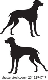 Vector dogs set silhouette on white background isolated. dog vector. vector hand drawn dog outline illustration .vector flat design animals silhouette set.