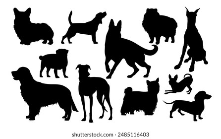 Vector dogs silhouettes collection includes 
Welsh Corgi, pug, beagle, Golden Retriever, Greyhound, West Highland White Terrier, belgian Shepherd, pomeranian spitz, Dobermann, Chihuahua, Dachshund.
