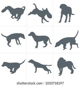 Vector dogs silhouettes. Set of dog silhouettes play and have fun outdoors