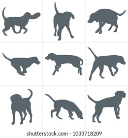 Vector dogs silhouettes. Set of dog silhouettes play and have fun outdoors